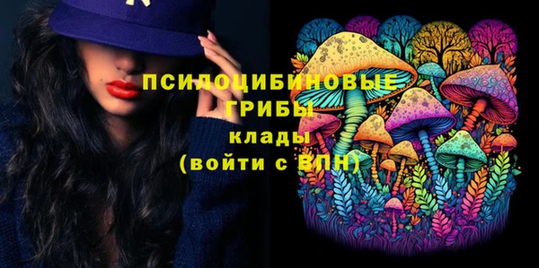 бутират Каменка